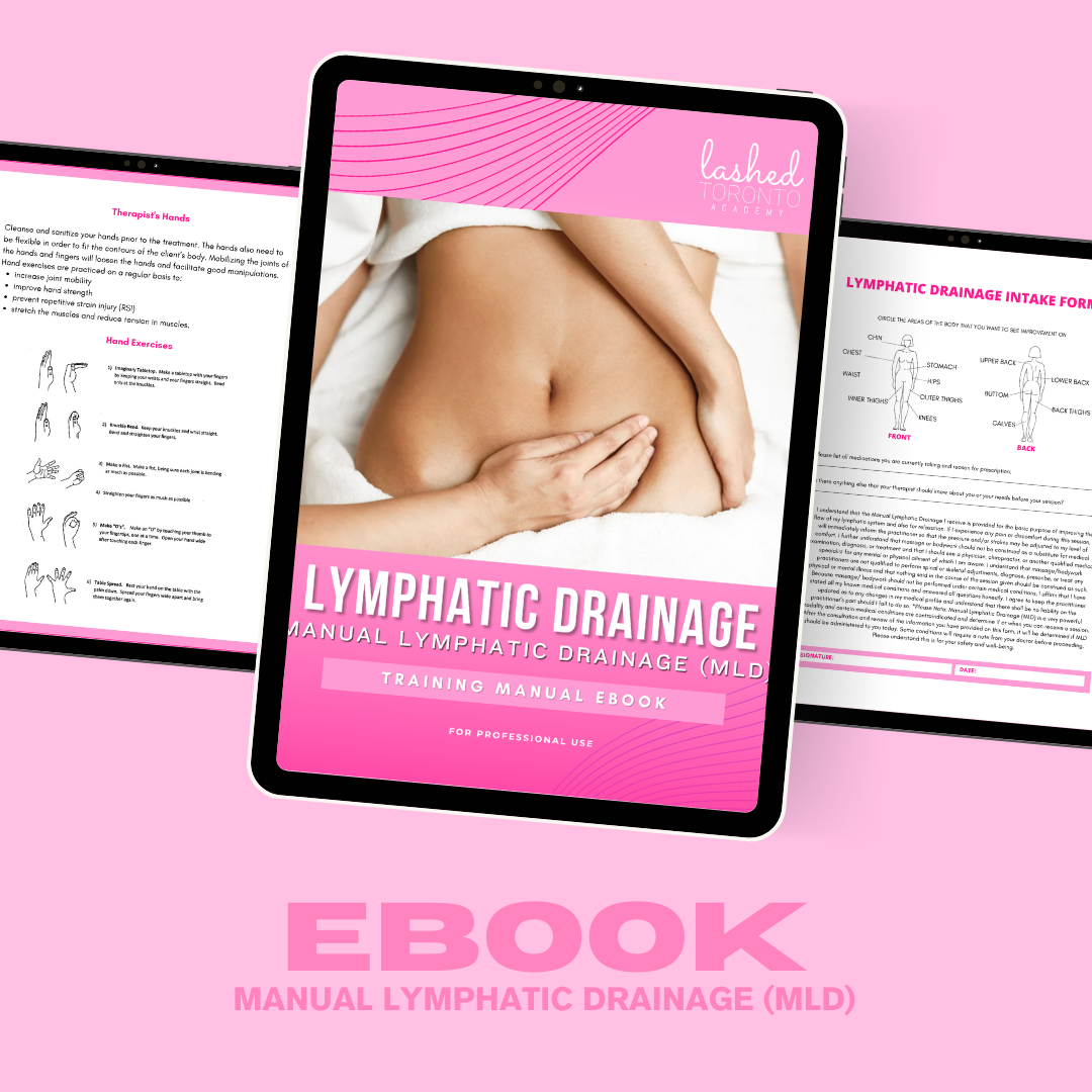 Beauty Business & Lymphatic Drainage Ebooks | Lashed Toronto